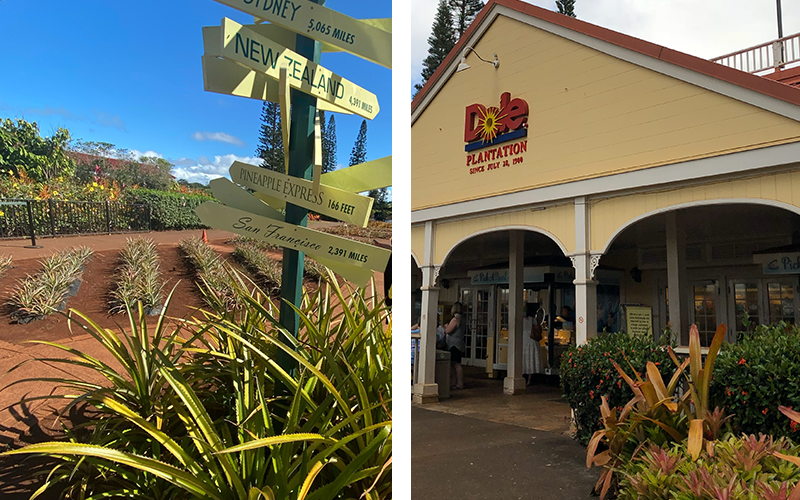 Dole Plantation